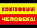 Оскотинивание человека!