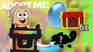 CO DOSTANU v BOXECH? (RBG Boxy, Tiger Boxy 🐯 + Diamond Egg) | Roblox Adopt Me!