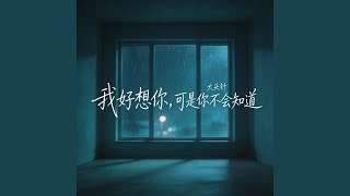 我好想你，可是你不会知道 - 大头针 Official