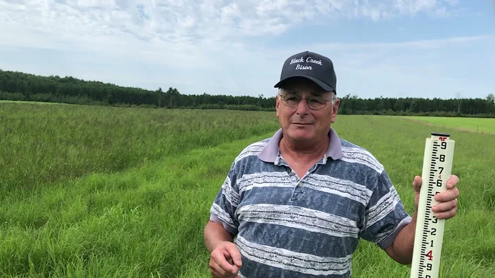 Alternative Forages:  A Farmer's Solution to Drought & Sandy Soils