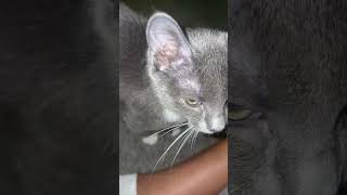 monamadeitt  He Is So Upset Because Im Just Getting Home Like Boy Im Grown