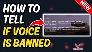 How To Know If Your Voice Chat Banned Valorant Quick & Easy