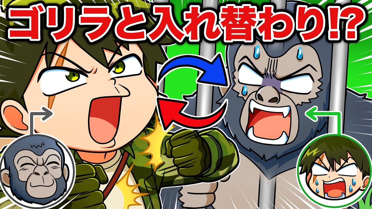 超人小学生がゴリラと入れ替わったら！？【アニメ】