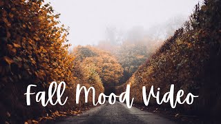 Soothing Fall ASMR Mood Video screenshot 4