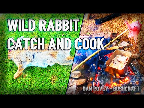 Wild Rabbit Catch and Cook