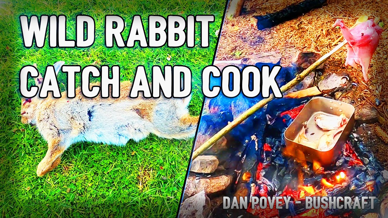 Wild Rabbit Catch and Cook - YouTube