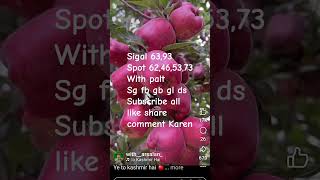 Satta King 15 September 2025 Satte ki news Faridabad Satta King Ghaziabad Gali disawar single jodi