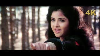 Divya Bharti Song 4K | Tu Pagal Premi Aawara | Shola Aur Shabnam | Govinda | Bollywood 4K Video Song
