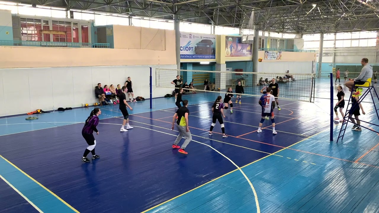 Ёжики - Хабиби