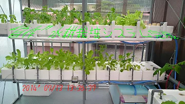 水耕栽培トマト 自作水耕栽培装置の作成 ｄｉｙ 簡単で安く本格的なトマト栽培 Mp3