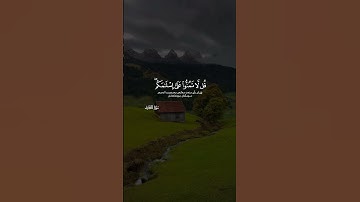 يمنون عليك أن أسلموا قل لا تمنوا على إسلمكم بل الله يمن عليكم سورة الحجرات ايه ١٧ عبدالرحمن مسعد