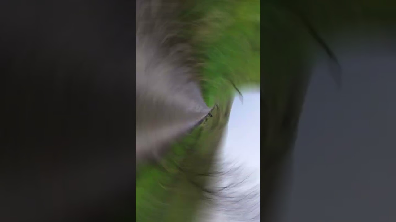 Cat and Fiddle Inn Climbing