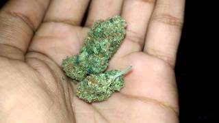 PLATINUM OG KUSH!!! LOUD KUSH WEED PORN THC!!!!!!!