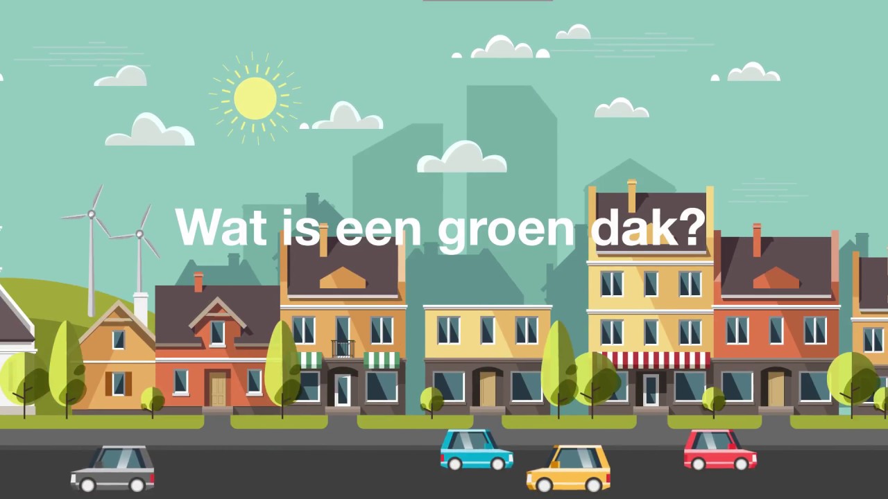 Wat is een groen dak? | Interpolis