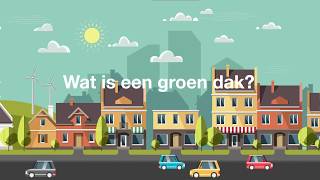 Wat is een groen dak? | Interpolis Wat is een groen dak? | Interpolis