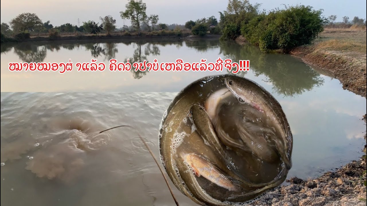 ປັກເບັດໝາຍໜອງລວມບ້ານທີ່ຜ່າແລ້ວບໍ່ຄິດເລີຍ(ปักเบ็ดหมายบ่อรวมบ้านที่ผ่าแล้วไม่คิดเลย)