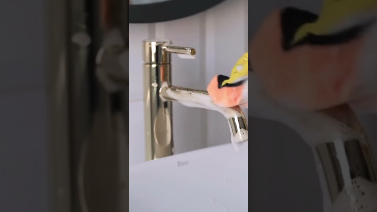 Spotless Bathroom Transformation | Insta Service Deep Cleaning Magic ✨🛁