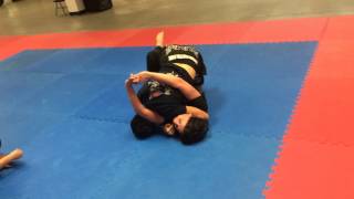 Team Pereira. Bjj No Gi Rolling