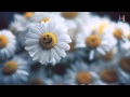 لاتحزن من أذية الناس لك mp3