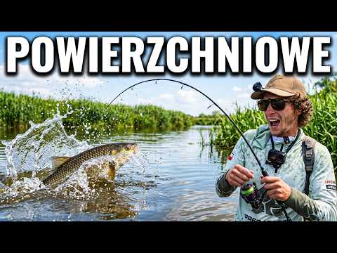 The Fish Went Crazy for Surface Lures!