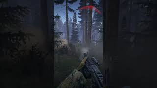 Playstation Subscriber Warfare Night Is Coming | DayZ Community Deathmatch
