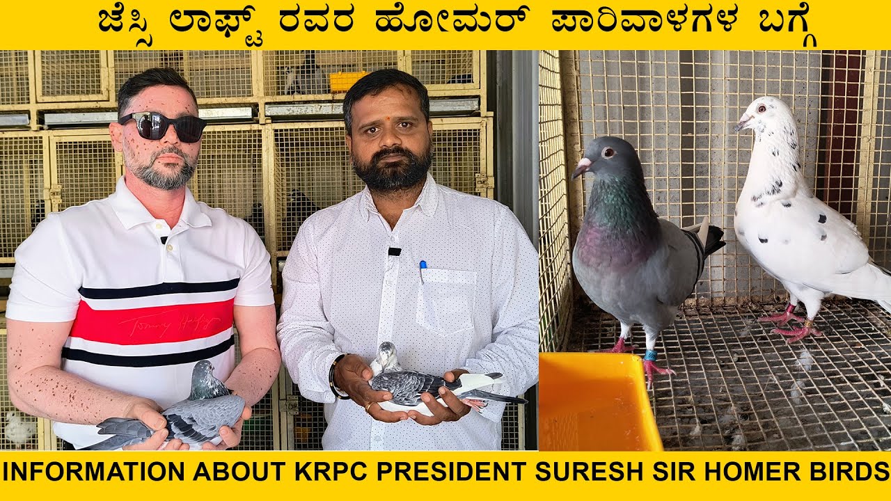 Exploring the Triumphs and Loft of the KRPC President: A Dive into Bangalore's Racing Pigeon Realm