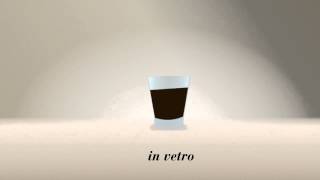 Kimbo 50 Anni. Bellebbuono - Come Ti Piace Il Caffè?