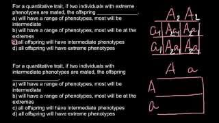 Quantitative trait and phenotype