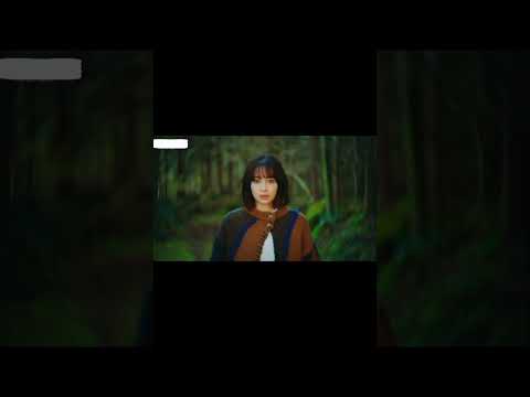 من رأى رقصة الطاووس في الغابة جيدراما  