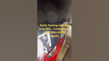 Garlic Sorting machine from Bits , Coimbatore | +91 82484 61039 #garlic