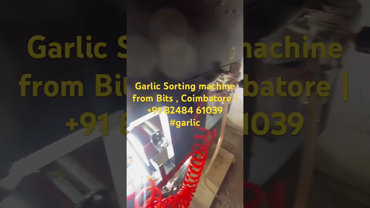 Garlic Sorting machine from Bits , Coimbatore | +91 82484 61039 