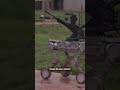 Taiwan’s military shows off robot patrol dogs