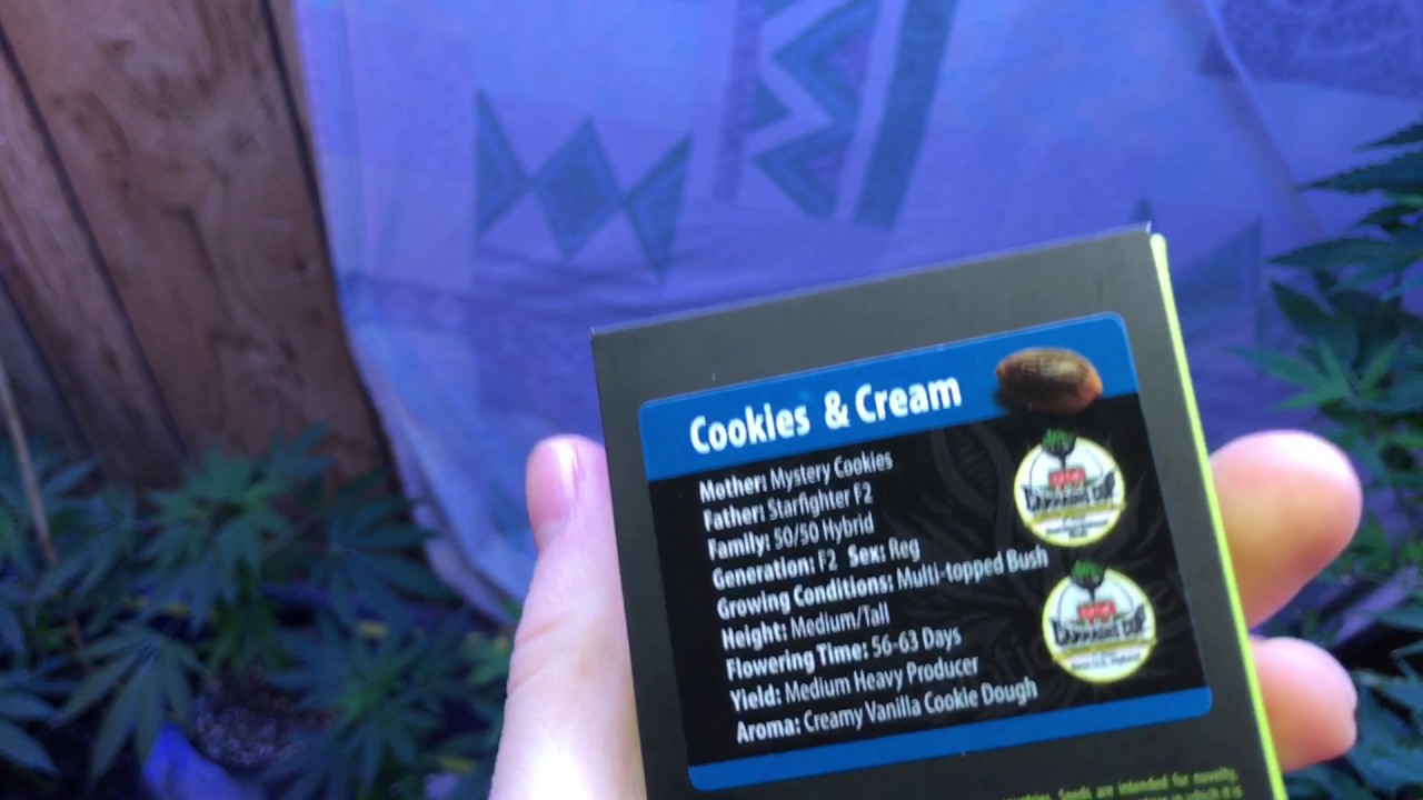 Exotic Cookies & cream YouTube