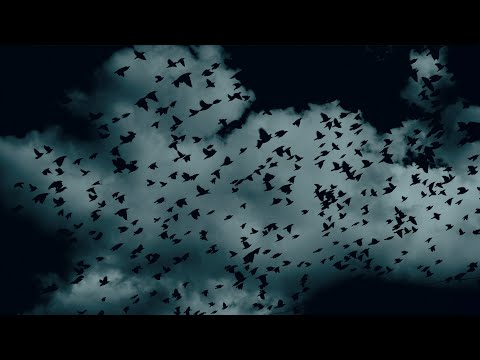 Sigur Rós -