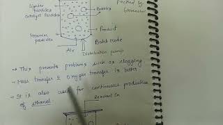 Fluidized bed bioreactor