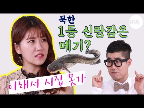 [남한말 북한말 번역기] 북한 1등 신부감 공수부대, 신랑감은 메기?ㅣ 실전 생활어 (1) 북한편