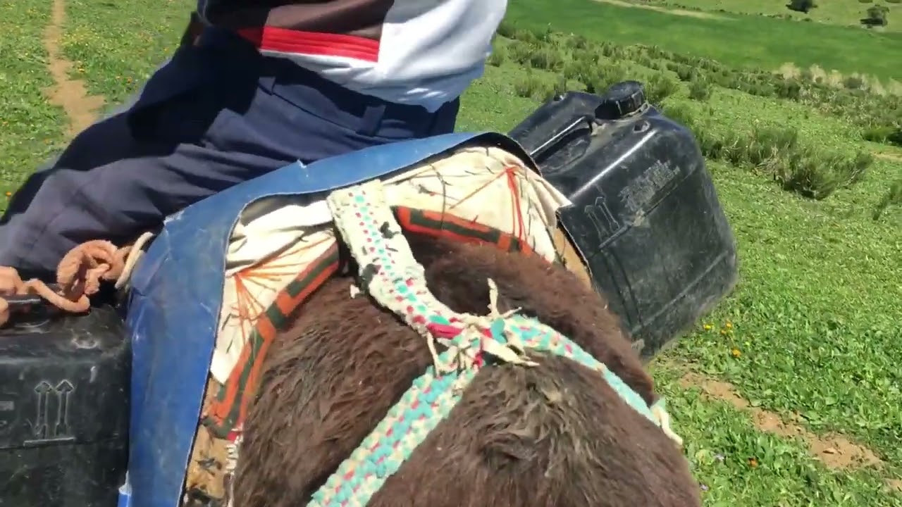 #جوالة #في #جبل حبيب #طنجة