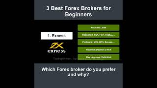 3 Best Forex Brokers for Beginners | Top Forex Broker Rankings | 0510 Wealth