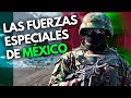 GAFES | Las Fuerzas Especiales más EXIGENTES y PREPARADAS de México