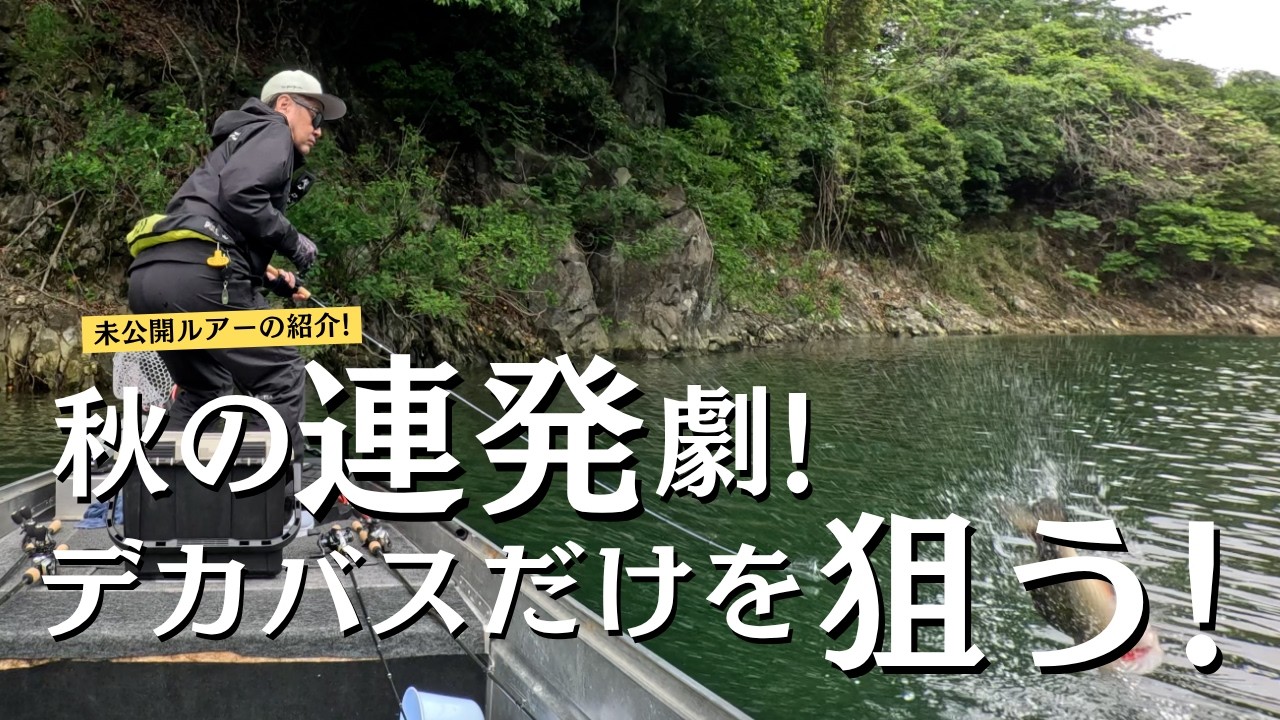 秋のデカバスが釣れる実績ルアー！