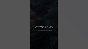 سورة غـافِر | آية 39 | المنشاوي رَحِمَهُ الله.