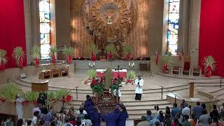 Domingo de Ramos “De la pasión del Señor”