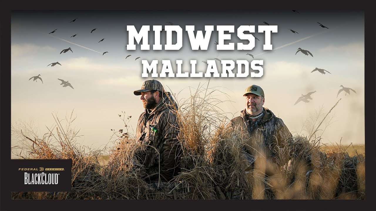 Covered up in DUCKS! | Kansas and Oklahoma Waterfowl Hunting