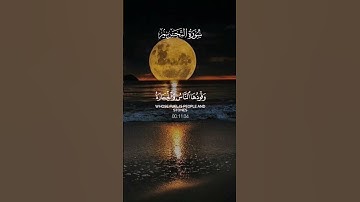 قرآن كريم راحة نفسية أستمع وانشر أجرلي ولكم