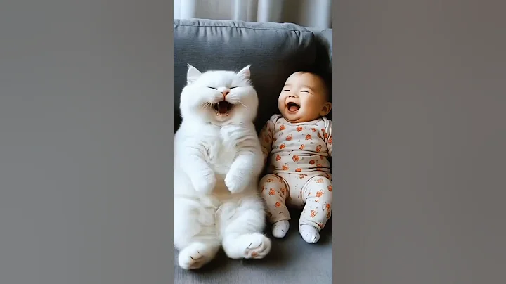 Watch the video about Funny cat video #shorts #cat #catvideos #funny #cute #catdance #catlover #funnycat #funnycatvideos