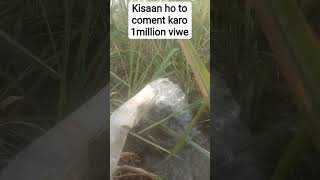 #watersaving #watersaving #agriculture #kannadafarming #kannadafarming #drippipe #farming