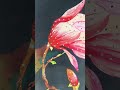 gnt sarees Rajahmundry 9505805618