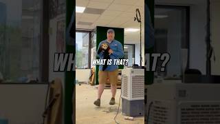 Crazy Raccon In Peytons Studio