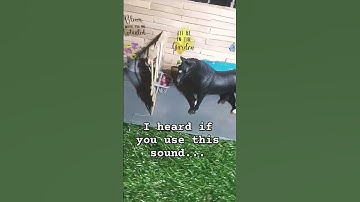 I heard if you use this sound you will get a lot of likes but creepy comments #schleich #viral #fypシ