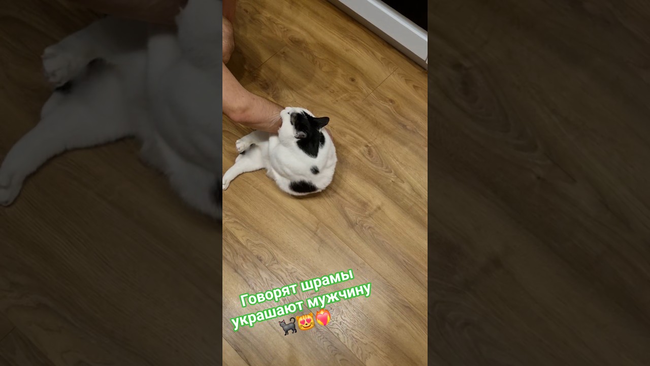 Стэтхэм  о шрамах🐈‍⬛😻❤️‍🔥 